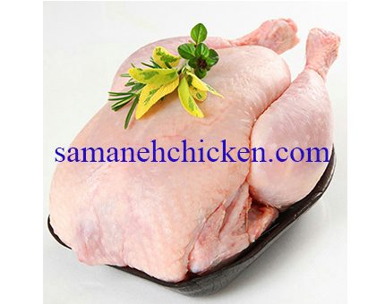 گوشت بوقلمون